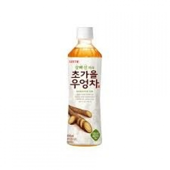 롯데)초가을우엉차500ml